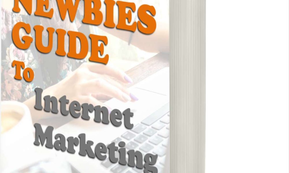 The Newbies Guide to Internet Marketing