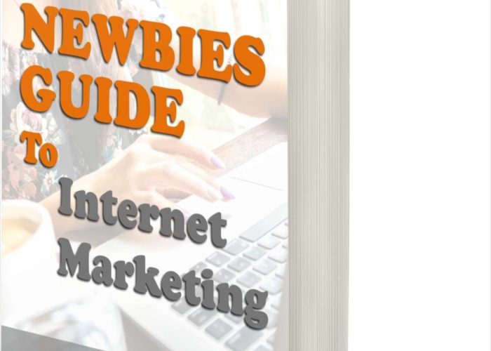 The Newbies Guide to Internet Marketing