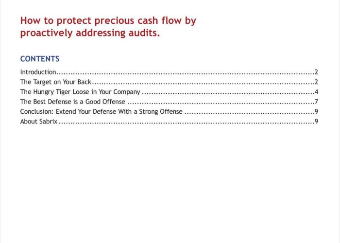 24 Managing Transaction Tax Audit Risk