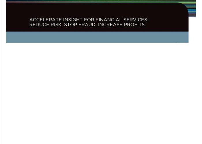 Accelerate Insight for Financial Services Reduce Risk. Stop Fraud. Increase Profits.