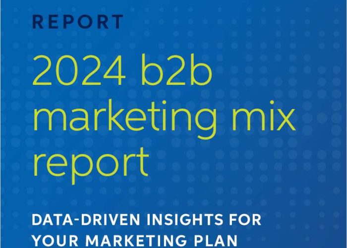 2024 b2b marketing mix report