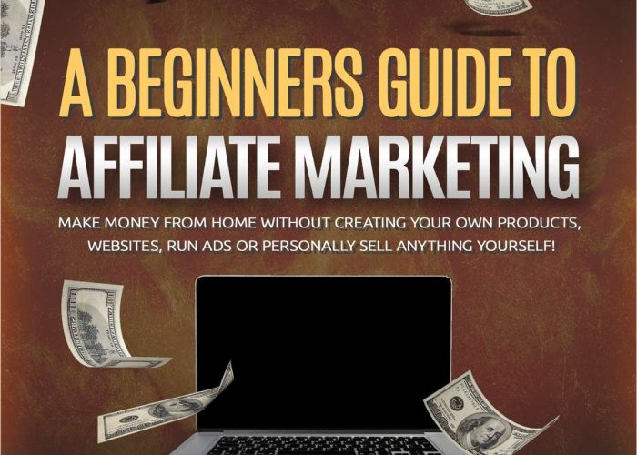 http://conceptialconnect.com/wp-content/uploads/2024/06/THE-BEGINNERS-GUIDE-TO-AFFIALIATE-MARKETING