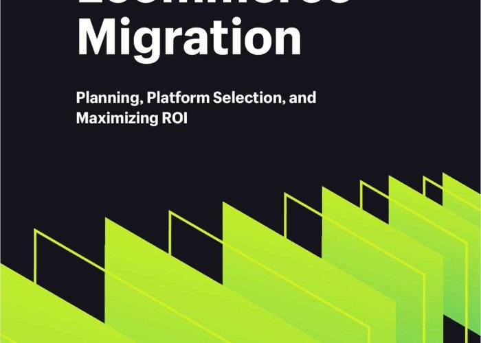 http://conceptialconnect.com/wp-content/uploads/2024/06/Ecommerce-Migration-Planning-Platform-Selection-and-Maximizing-ROI