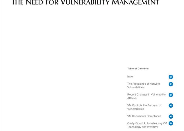 9 The Need for Vulnerability Management