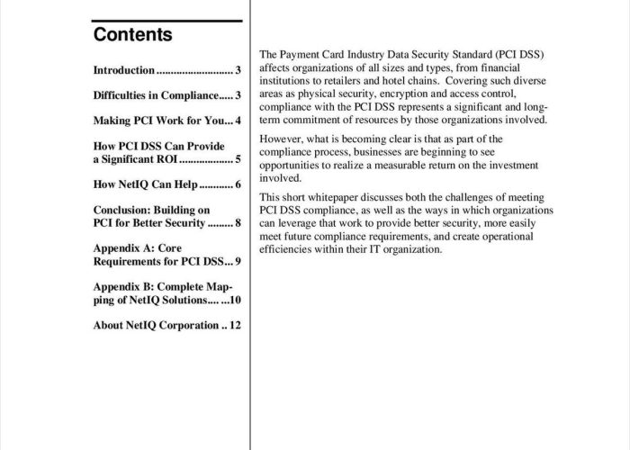 Achieving ROI from Your PCI Investment